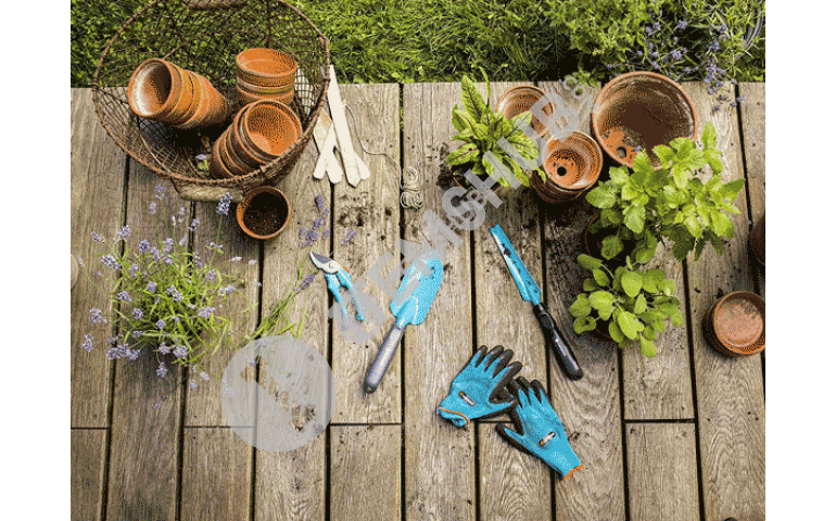 8 Basic Gardening Tools for Garden Owners